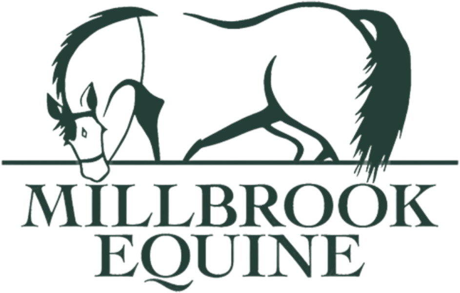 Millbrook Equine