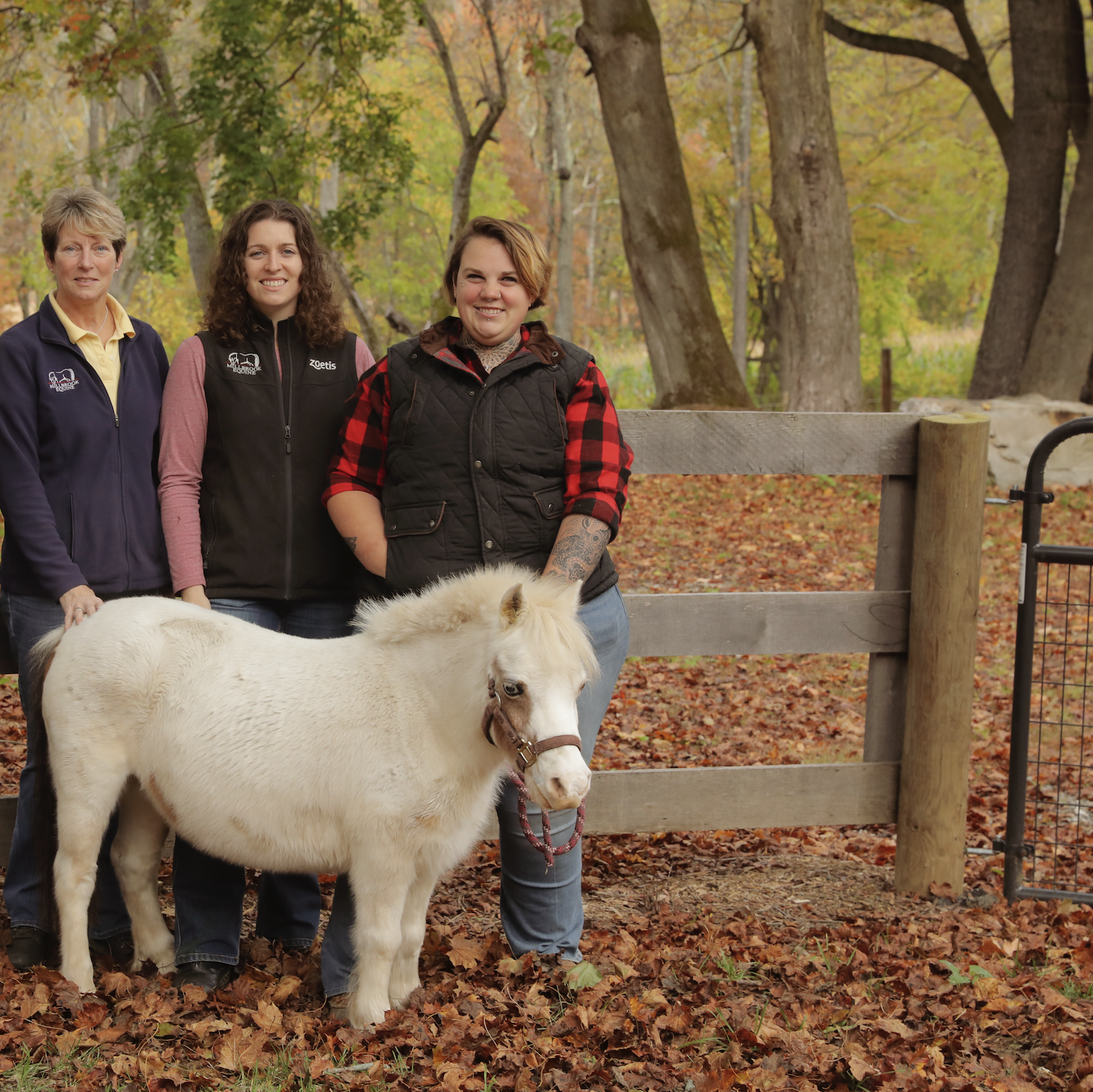 Millbrook Equine's veterinary assistants